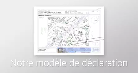 Image modèle de déclaration