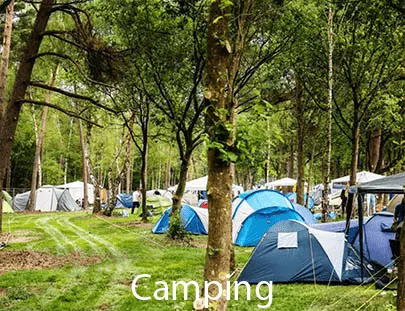 Image camping